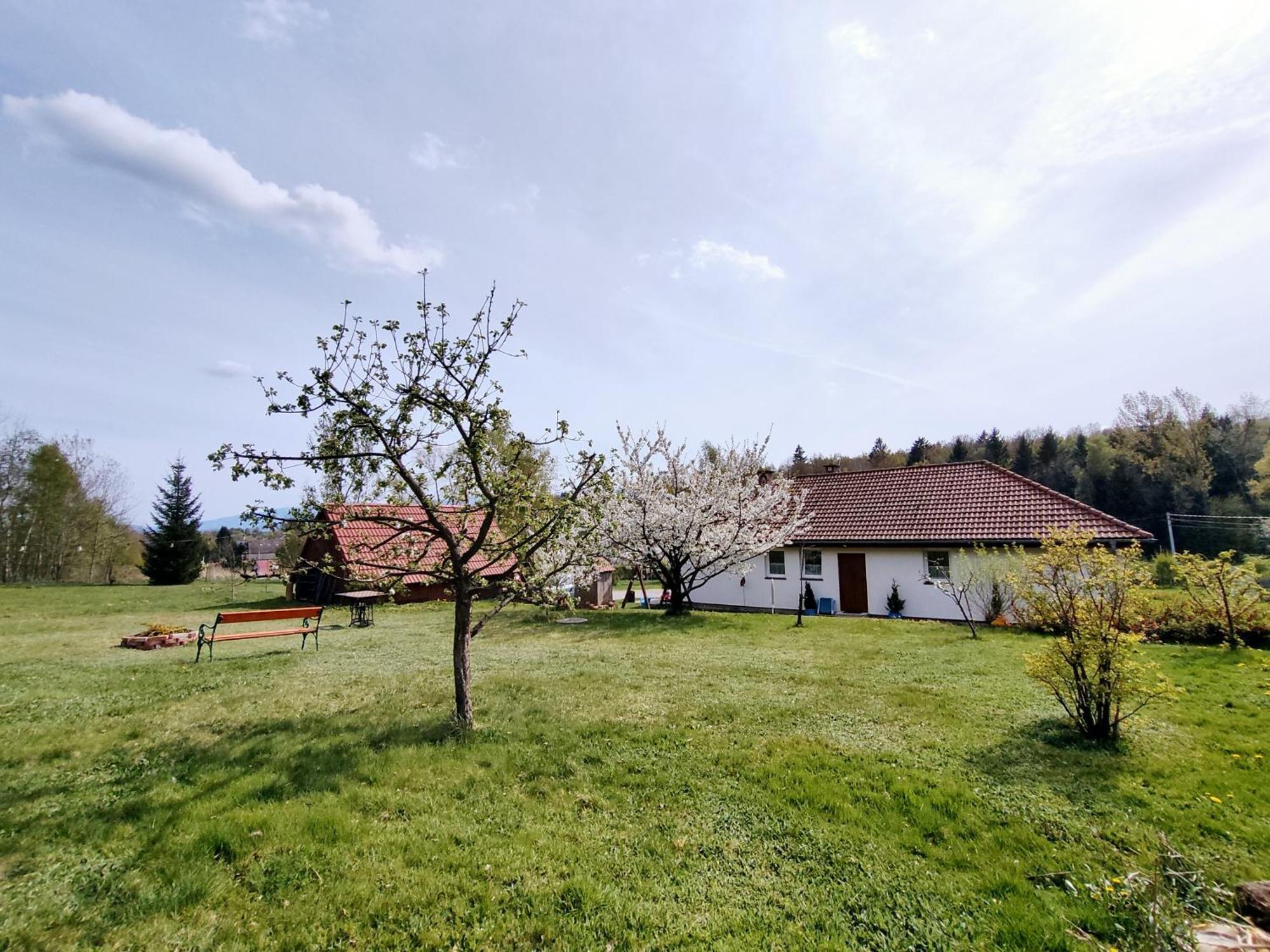 Apartament Izerskie Gaje Wojcieszyce Exterior photo